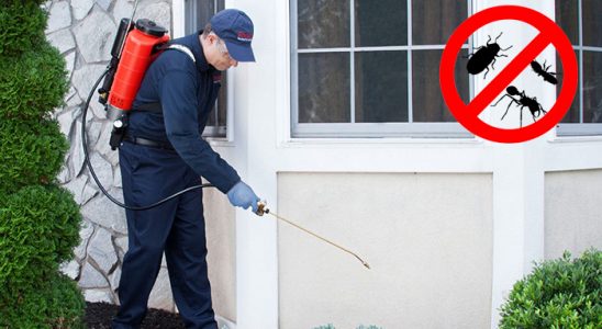 Onikişubat Böcek İlaçlama böcek ilaçlama ve haşere kontrolü — ilaclama-tr.com